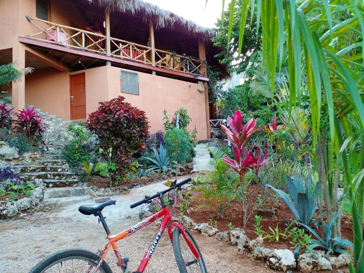 Welcoming House In Las Galeras With Stunning Sea View Dominikánská republika